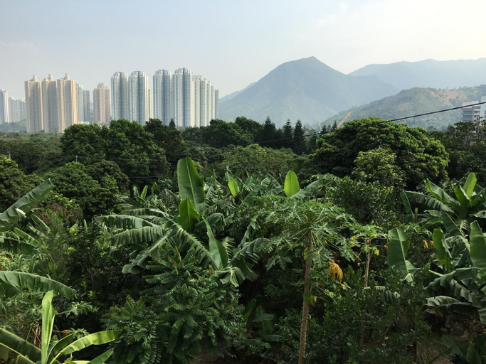 Scenery 18