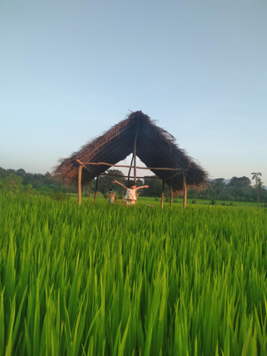 Food & Drinks 4, Dambulla Tree House, Dambulla