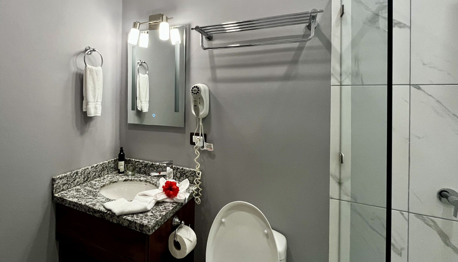 Bathroom 4, Hotel Playa Espadilla, Aguirre