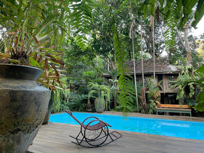 Sport & Beauty, Fern Paradise, San Sai