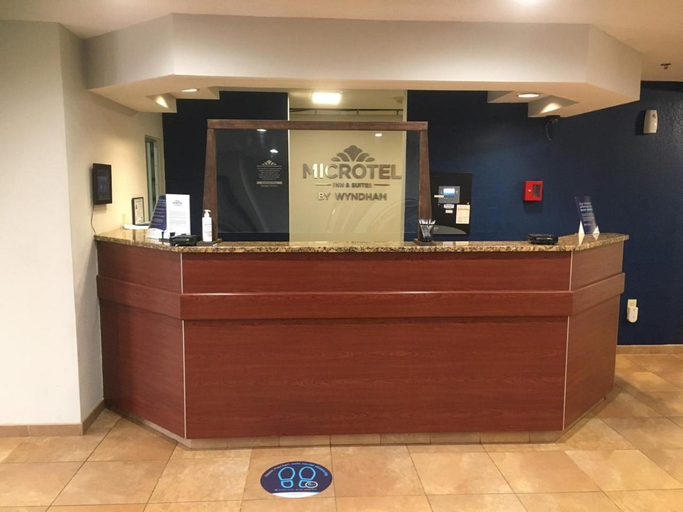 Public Area, Microtel Inn & Suites by Wyndham Hillsborough, Orange