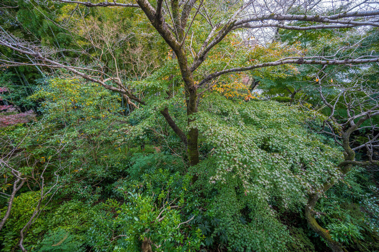 Scenery 12