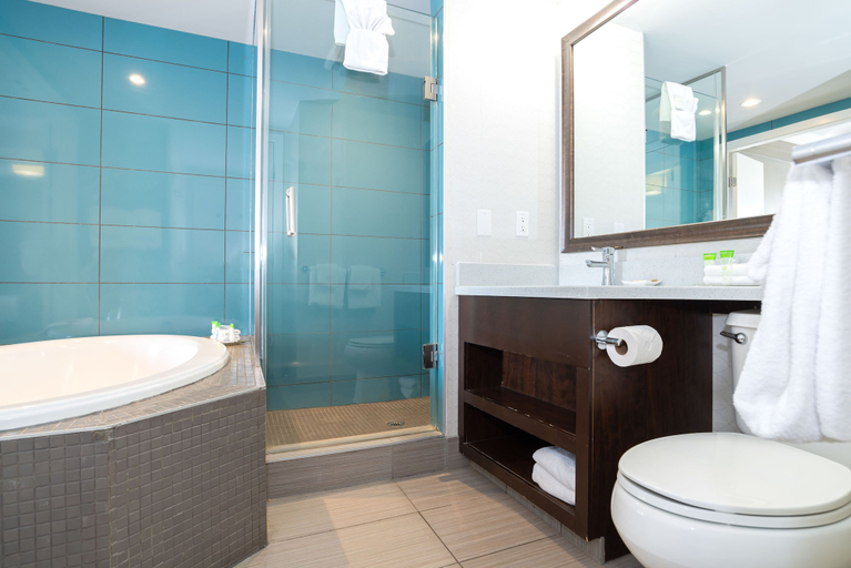 Bathroom 4, Sandman Hotel & Suites Calgary South, Division No. 6
