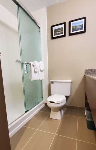Bathroom 5, Comfort Inn & Suites Montpelier-Berlin, Washington