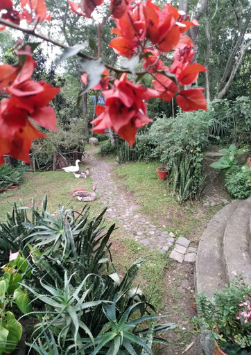 Others 2, Casa del Aguacate Cumbaya - Tumbaco, Quito