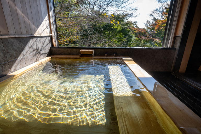 Swimming Pool 1