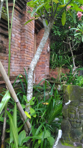 Others 4, Arjana Bungalow 2, Gianyar