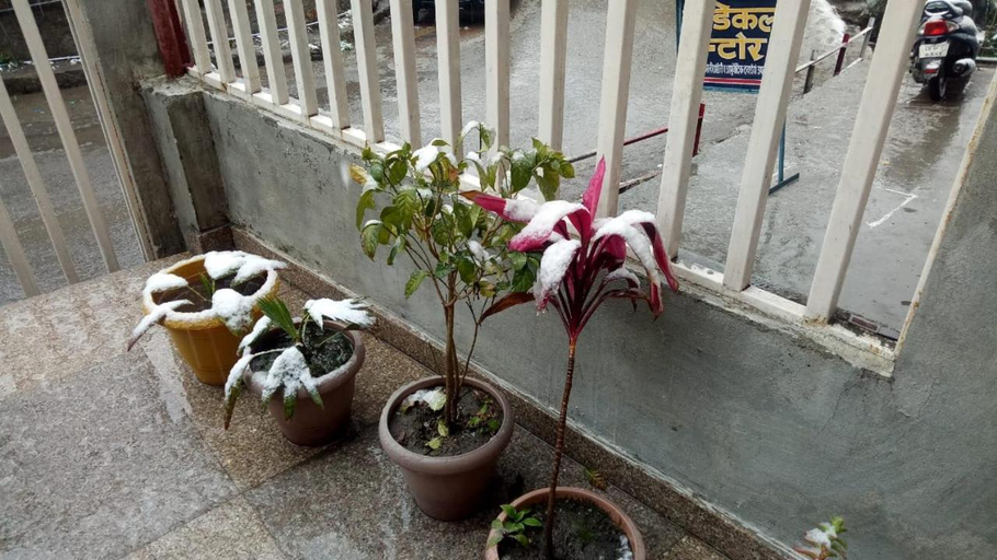 Others 3, Hotel Milam Inn, Almora