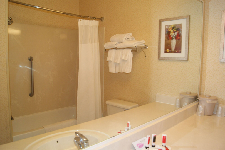 Bathroom 4, Baymont by Wyndham Coon Rapids, Anoka