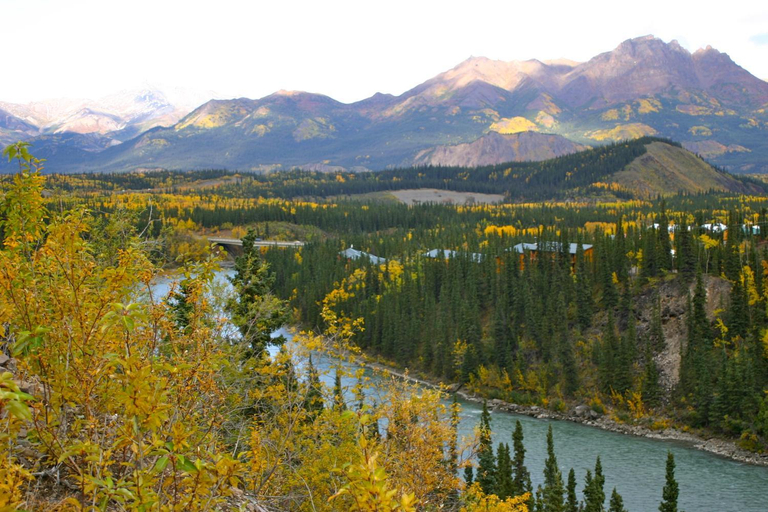 Others 5, Denali Grizzly Bear Resort, Denali