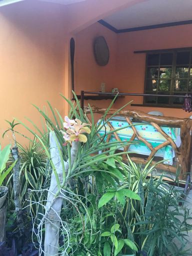 Sport & Beauty 2, Chekesh Casa, San Juan