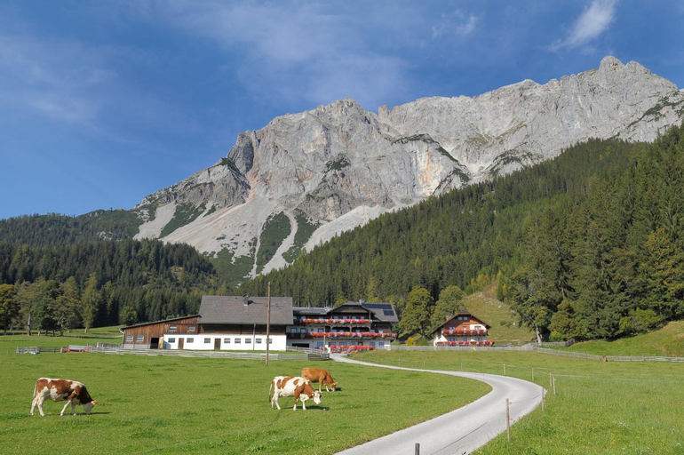 Feichtlehnerhof, Liezen
