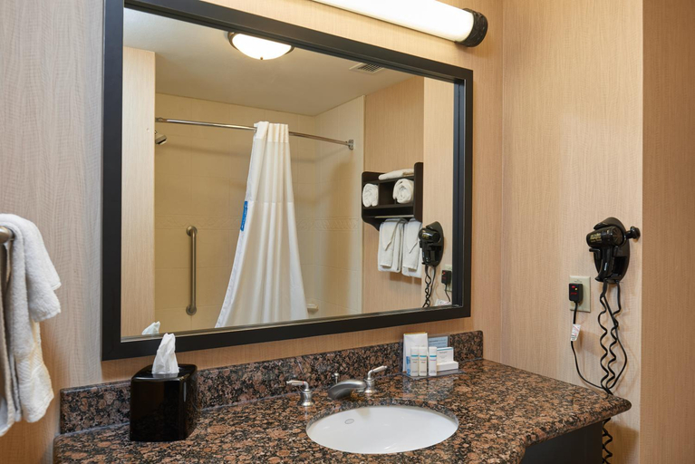 Bathroom 4, Hampton Inn & Suites Austin South/Buda, Hays