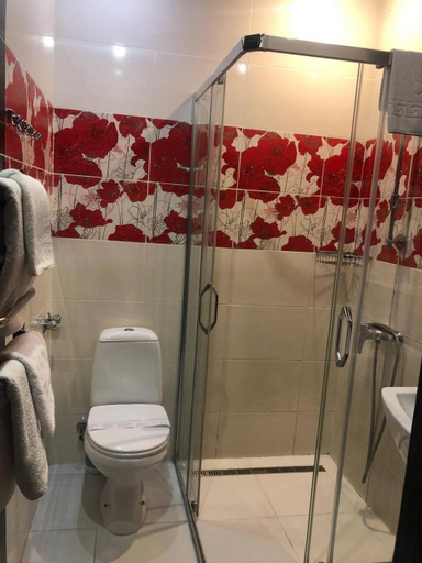 Bathroom 4, Knyazhyi Dvir, Pustomytivs'kyi