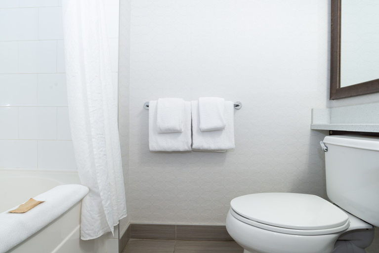 Bathroom 4, Sandman Hotel & Suites Calgary South, Division No. 6