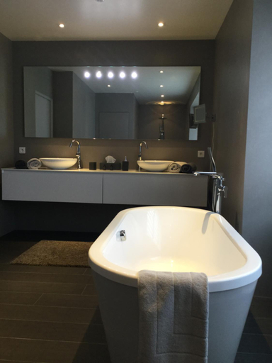 Bathroom, Le Clos d 'Ay, Marne