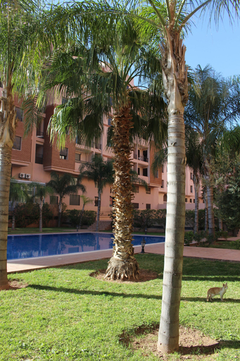 Exterior & Views 2, Appartement Assafa, Marrakech