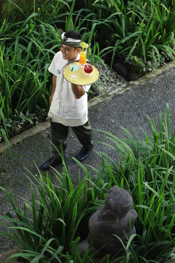 Photo 40