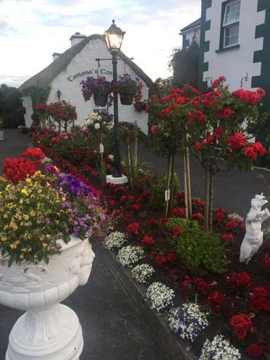 Others 4, Teresas Cottage