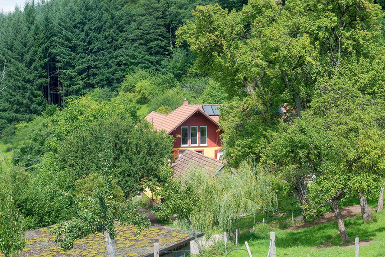 Exterior & Views 1, Jolly Joker Comfortable holiday residence, Emmendingen