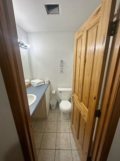 Bathroom 2, Country Cabin Motel, Grant