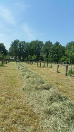 Others 5, landgoed Groot Boerle, Olst-Wijhe