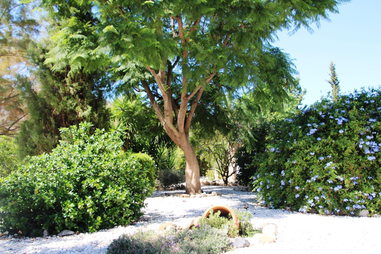 Others 3, Finca El Limonar, Málaga