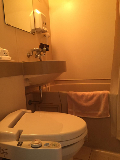 Bathroom 4, Hotel SkyHeart Kawasaki, Kawasaki