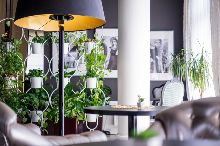 Public Area 4, Hotel Luxor, Lublin