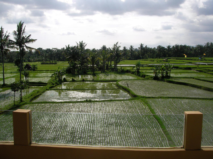Scenery 16