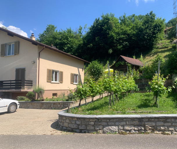 Others 5, BnB Obermumpf, Rheinfelden