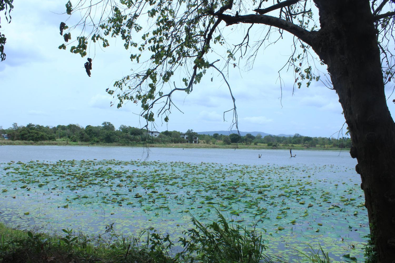 View 3, Lucky Villa Sigiriya, Dambulla