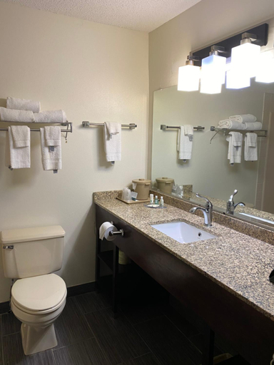 Bathroom 4, Quality Inn Morton at I-74, Tazewell