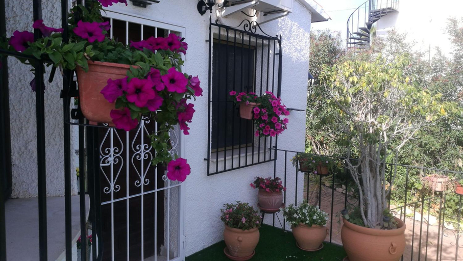 Others 5, El Rincon de la Quinta, Alicante