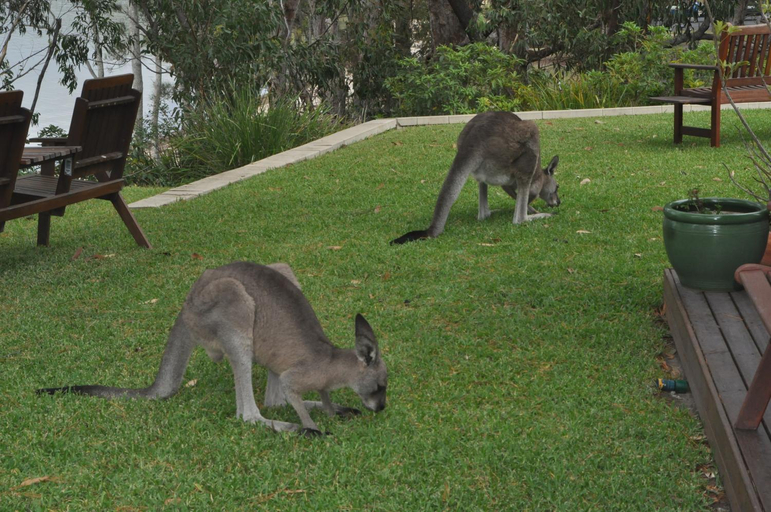 Others 4, BY THE BEACH B&B AND APARTMENTS, Shoalhaven - Pt B