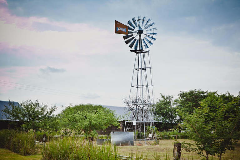 Others 4, Grincourt B&B- with No Load shedding, Capricorn