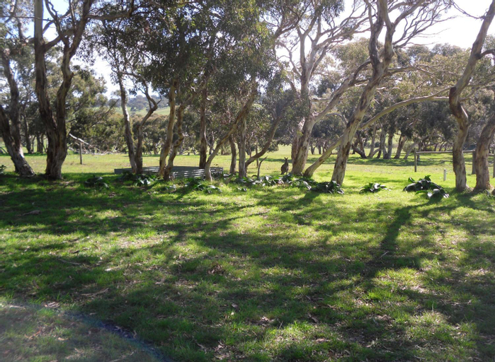 Others 3, Wenton Farm Holiday Cottages, Alexandrina - Coastal