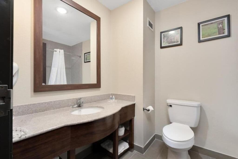 Bathroom, Comfort Suites Abilene Central, Taylor
