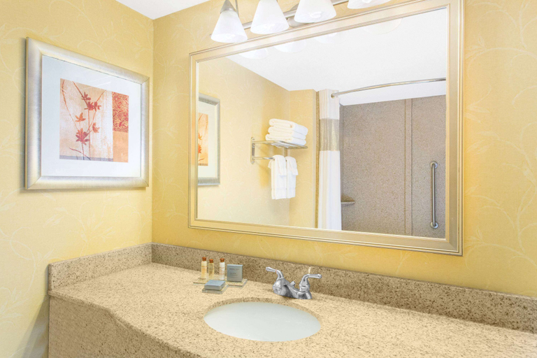 Bathroom 4, Wingate by Wyndham Savannah/Pooler, Chatham