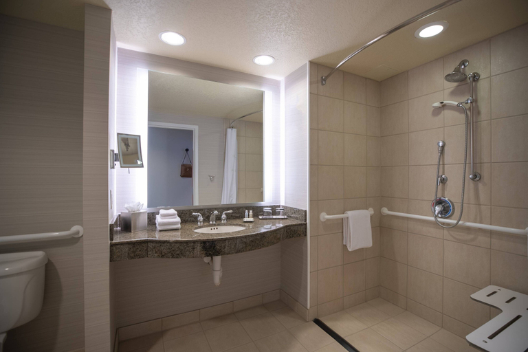 Bathroom 5, Renaissance Dallas Richardson Hotel, Dallas