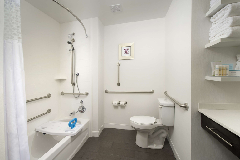 Bathroom 4, Hampton Inn by Hilton Hattiesburg, Lamar