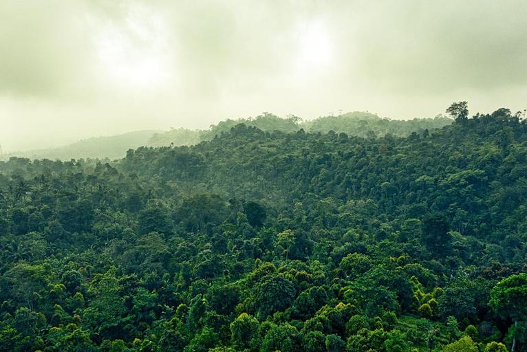 View, RUHIJA GORILLA GUEST HOUSE , Rubanda