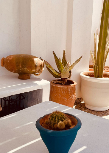Food & Drinks, Hotel Riad California, Essaouira