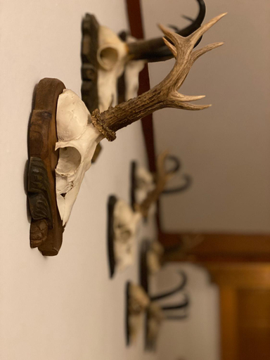 Others 4, Ansitz Felsenheim, Reutte