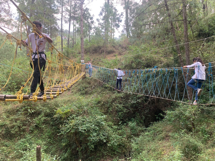 Others 5, Pine Trails Jungle Camp, Solan