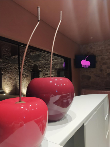 Public Area, Cherry Sculpture Hotel, Covilhã
