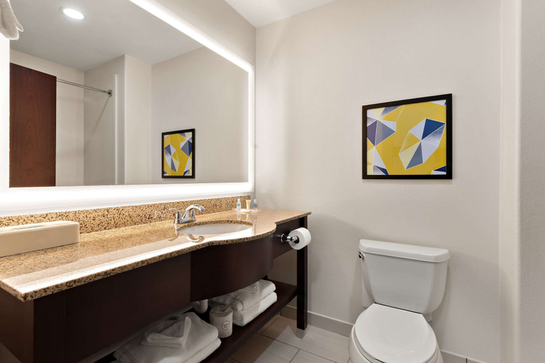 Bathroom 4, Comfort Suites Bastrop, Bastrop