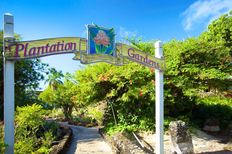 Food & Drinks, Castle Kiahuna Plantation & Beach Bungalows, Kauai