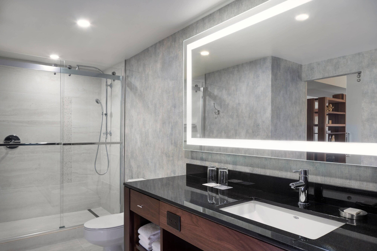 Bathroom 5, Renaissance Phoenix Downtown, Maricopa