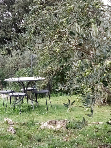 Others 4, Le Petit Paradis - La Provencale, Var
